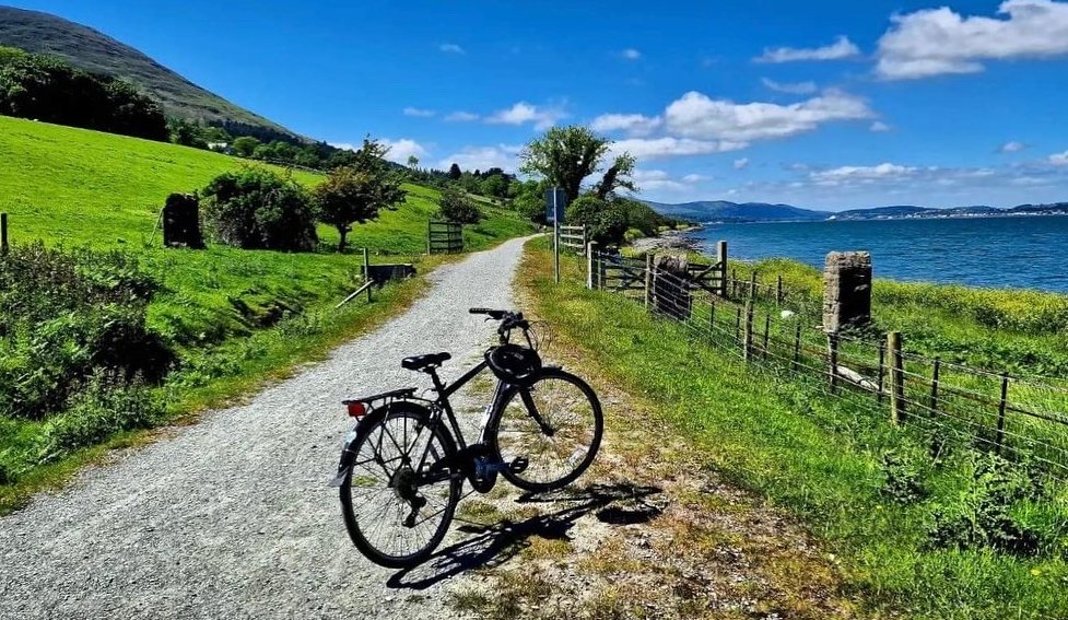 The Carlingford Greenway: a gravel path along the shore of the lough with a
                    bike propped on it, mountains behind and the water to the right.